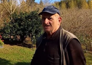 კმაყოფილია თუ არა სოფელ ბაილეთის მოსახლეობა წლევანდელი მანდარინის მოსავლით