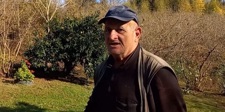 კმაყოფილია თუ არა სოფელ ბაილეთის მოსახლეობა წლევანდელი მანდარინის მოსავლით