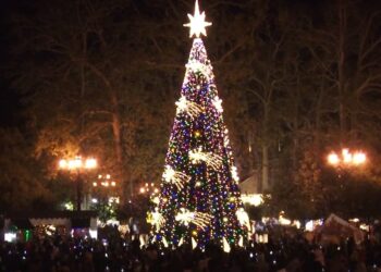 გურიის ახალი ამბები – 25.12.2023