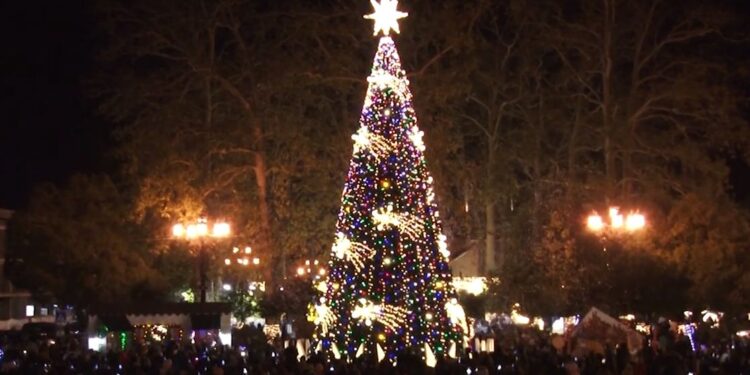 გურიის ახალი ამბები – 25.12.2023