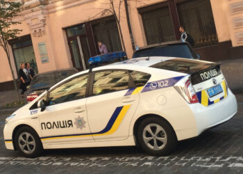 კიევში ქალმა მე-7 სართულიდან ლეკვი გადმოაგდო – მას 3-დან 5 წლამდე ვადით პატიმრობა ემუქრება