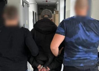 ორთვიანი ძებნის შემდეგ, პოლონეთში 25 წლის ქართველი დააკავეს