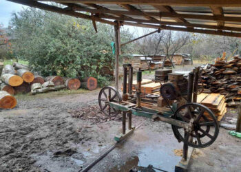 იმერეთსა და სამეგრელოში, საკარმიდამო ეზოებში 9 უკანონო სახერხი საამქრო გამოავლინეს – გარემოსდაცვითი ზედამხედველობის დეპარტამენტი