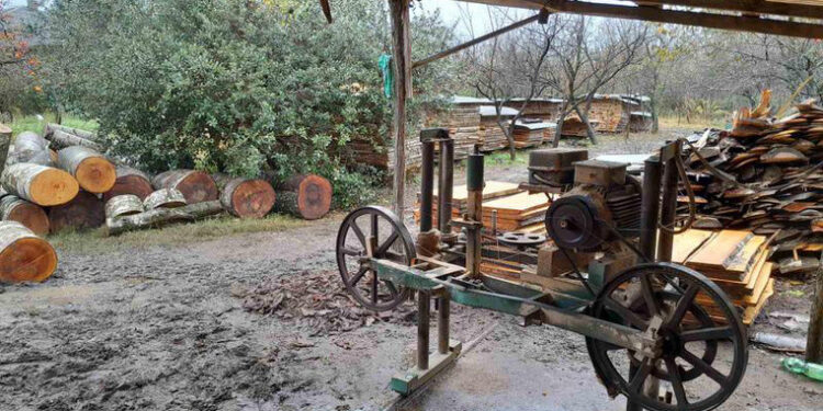 იმერეთსა და სამეგრელოში, საკარმიდამო ეზოებში 9 უკანონო სახერხი საამქრო გამოავლინეს – გარემოსდაცვითი ზედამხედველობის დეპარტამენტი