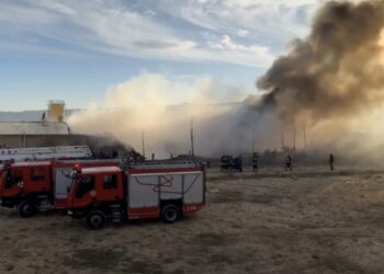 დამწვარია 4000 კვადრატულ მეტრამდე ტერიტორია – ხანძარი თბილისში