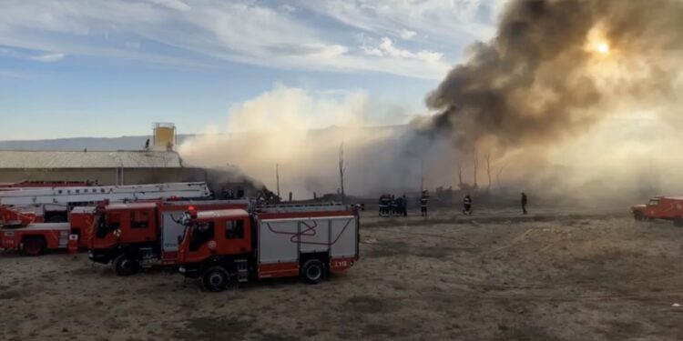 დამწვარია 4000 კვადრატულ მეტრამდე ტერიტორია – ხანძარი თბილისში