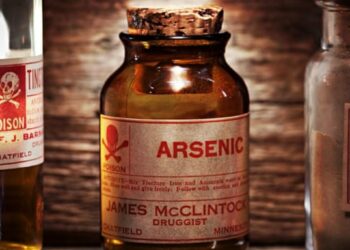 სიმფეროპოლში პარტიზანმა ქალებმა 35 ოკუპანტი მოწამლეს