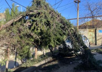 ძლიერმა ქარმა თბილისში პრობლემები შექმნა – დაზიანდა ავტომობილები და სახლს სახურავები