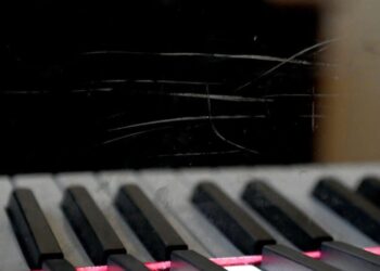 კონსერვატორიაში ახალშეძენილი „სტეინვეის“ როიალები დააზიანეს