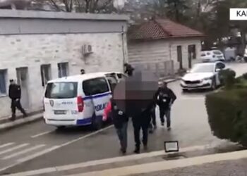 ალბანეთში საქართველოს 2 მოქალაქე დააკავეს