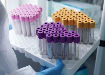 დაკავებულია ქალი, რომელსაც საქართველოში სინჯარებით კვერცხუჯრედები გადმოჰქონდა