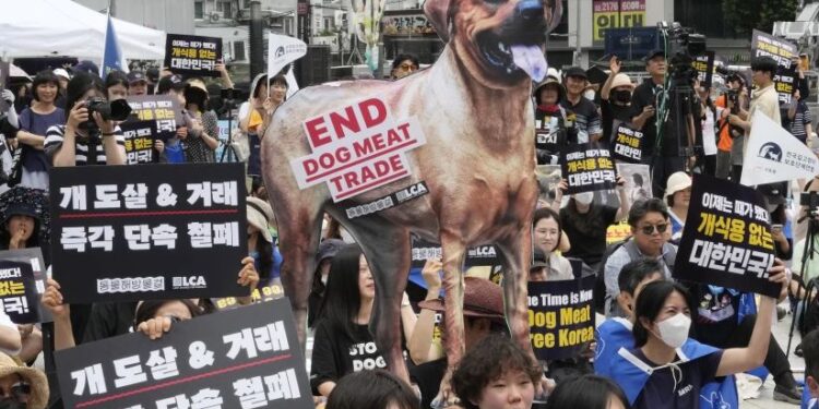 სამხრეთ კორეაში ძაღლის ხორცის საკვებად გამოყენება აიკრძალა