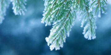 როგორი ამინდი იქნება 1 იანვარს – ამინდის პროგნოზი ქალაქების მიხედვით