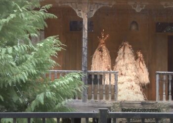 გურიის ახალი ამბები – 12.01.2024