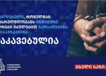 საგამოძიებო სამსახურმა, არასრულწლოვანი გოგონას პირადი ცხოვრების საიდუმლოების ხელყოფის ფაქტები გახსნა