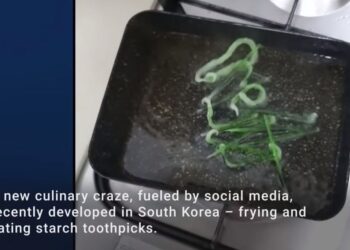 ვიდეო -“კბილის ჩხირების საკვებად გამოყენება არ არის უსაფრთხო, გთხოვთ არ შეჭამოთ“ – სამხრეთ კორეის მთავრობის მიმართვა ხალხს