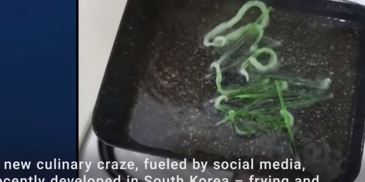 ვიდეო -“კბილის ჩხირების საკვებად გამოყენება არ არის უსაფრთხო, გთხოვთ არ შეჭამოთ“ – სამხრეთ კორეის მთავრობის მიმართვა ხალხს