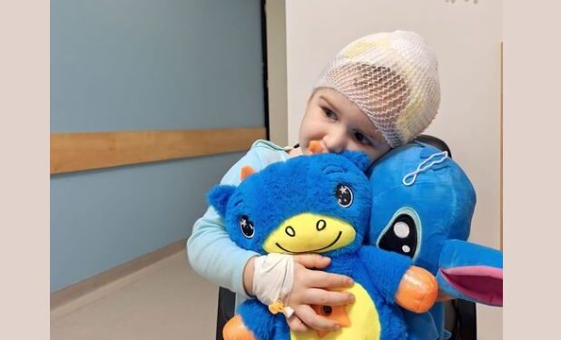 “თქვენი ლოცვა გადაარჩენს ჩემ გმირ ბიჭუნას” – ძაღლის მიერ დაკბენილ ლაზარეს ამ წუთებში ოპერაცია უტარდება