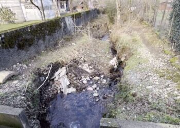 ექადიის უბანში, მოსახლეობა მეწყრული პროცესის შეჩერებას ითხოვს