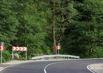 ოზურგეთი-ნატანები-ურეკის გზაზე არასწორად განთავსებული საგზაო ნიშნები შეიცვალა – საიას ოზურგეთის ოფისი