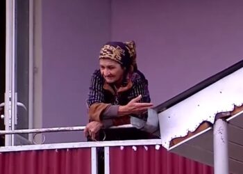 „მთელი ჩვენი ქათმები შეჭამა ამ ძაღლმა და ძროხაც დაკბინა” – ძაღლის ცემისთვის დაკავებულის დედა