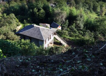 ოზურგეთში სტიქიით დაზარალებულმა 152 ოჯახმა, კომპენსაციები მიიღო – რამდენი ოჯახი მიიღებს კიდევ კომპენსაციას