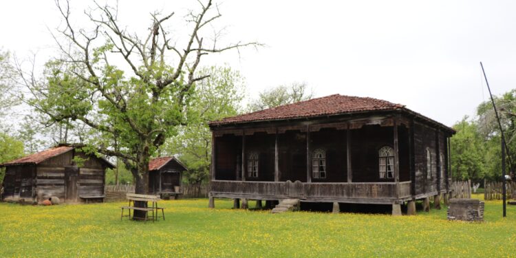 ოზურგეთში სახლმუზეუმების განახლება იწყება, რომელსაც ბიუჯეტიდან 257 137 ლარი მოხმარდება