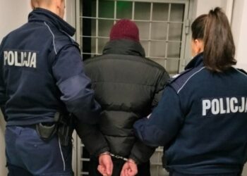 პოლონეთში, ქურდობის ბრალდებით, 3 ქართველი დააკავეს