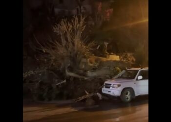 ვიდეო – თბილისში ღამით მიწა ჩამოიშალა