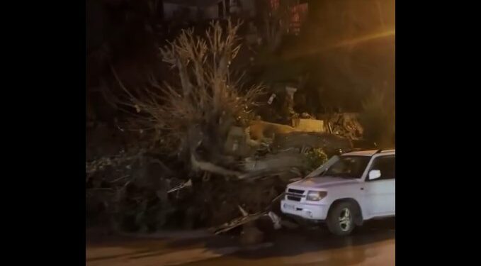 ვიდეო – თბილისში ღამით მიწა ჩამოიშალა