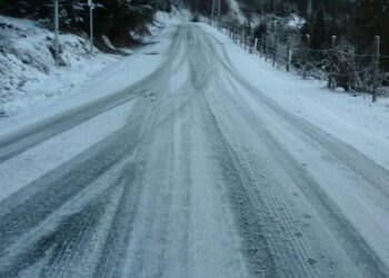 რომელ საავტომობილო გზის მონაკვეთზეა აკრძალული მოძრაობა