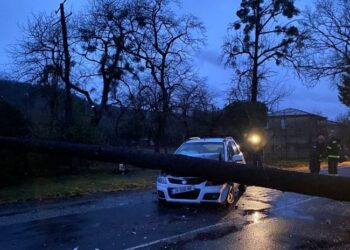სამეგრელოში ძლიერმა ქარმა სახლებს სახურავები გადახადა, მოგლეჯილია ხეები
