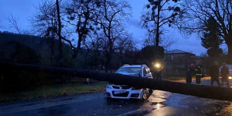 სამეგრელოში ძლიერმა ქარმა სახლებს სახურავები გადახადა, მოგლეჯილია ხეები