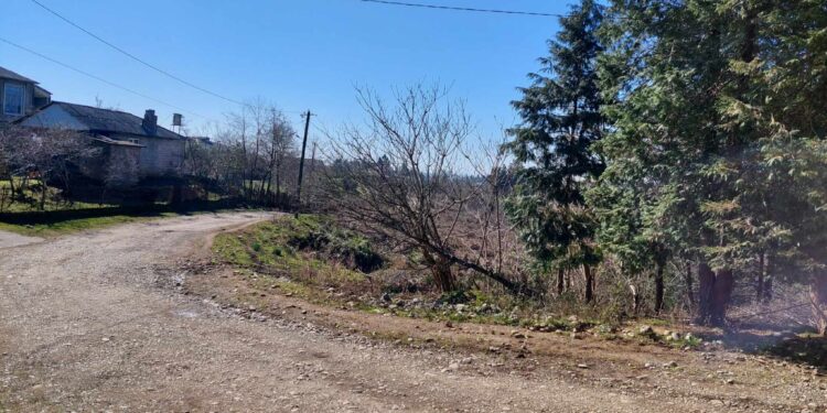 ”უწყლოდ ყოფნა ნამდვილი ჯოჯოხეთია” – სოფელ ციხისფერდში უწყლობის პრობლემის მოგვარებას ითხოვენ