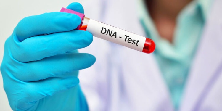 საქართველოში დნმ-ის ერთიანი ბაზა შეიქმნება