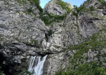 ოკუპირებულ გაგრის რაიონში საბაგირო ჩაწყდა, დაიღუპა რუსეთის მოქალაქე