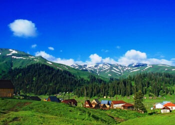 გურიაში ეროვნული პარკი შეიქმნება – პარლამენტში კანონპროექტის საკომიტეტო განხილვები დაიწყო