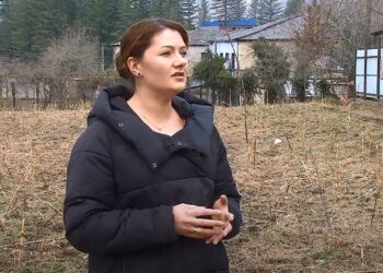 მაიკო ბენიძე – დამწყები ფერმერი ჩოხატაურიდან