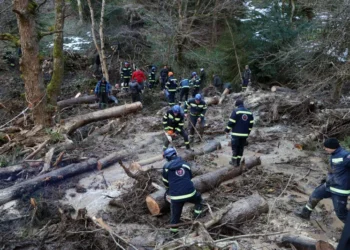 ხაშურში მთის ფერდობიდან ღელეს მიმართულებით, მიწის მასა და ხეები ჩამოიშალა