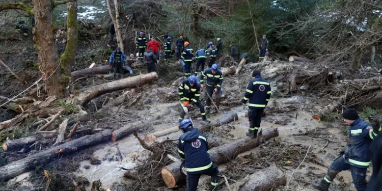 ხაშურში მთის ფერდობიდან ღელეს მიმართულებით, მიწის მასა და ხეები ჩამოიშალა