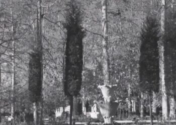 ოზურგეთის ქალაქის ბაღი – “ეპიზოდები გურიიდან” – S01, E07