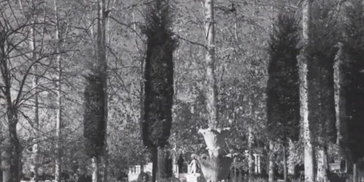 ოზურგეთის ქალაქის ბაღი – “ეპიზოდები გურიიდან” – S01, E07