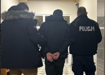 ქურდობის ბრალდებით პოლონეთში საქართველოს მოქალაქეები დააკავეს