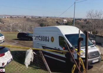 ცნობილია დეტალები თბილისში, ლილოს დასახლებაში 22 წლის გოგოს მკვლელობის შესახებ