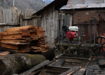 ჩოხატაურში უკანონო სახერხი საამქრო აღმოაჩინეს