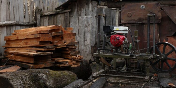 ჩოხატაურში უკანონო სახერხი საამქრო აღმოაჩინეს