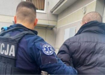 პოლონეთში საქართველოს ინტერპოლით ძებნილი მოქალაქე დააკავეს