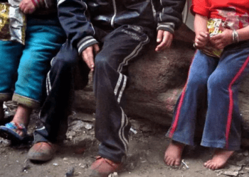 საქართველოს რომელ რეგიონში ცხოვრობს ყველაზე მეტი სოციალურად დაუცველი