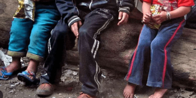 საქართველოს რომელ რეგიონში ცხოვრობს ყველაზე მეტი სოციალურად დაუცველი