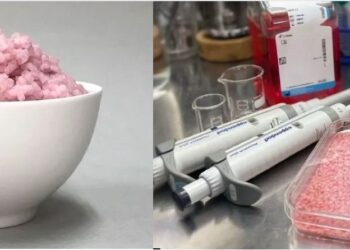 სამხრეთკორეელმა მეცნიერებმა ახალი ტიპის საკვები შექმნეს, რომელიც ხორცისა და ბრინჯის ჰიბრიდს წარმოადგენს